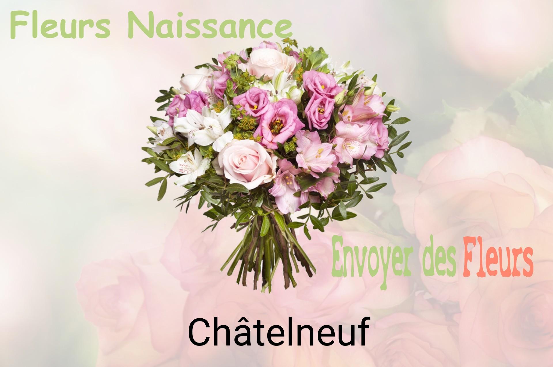 Bouquet de fleurs de naissance livré à Châtelneuf