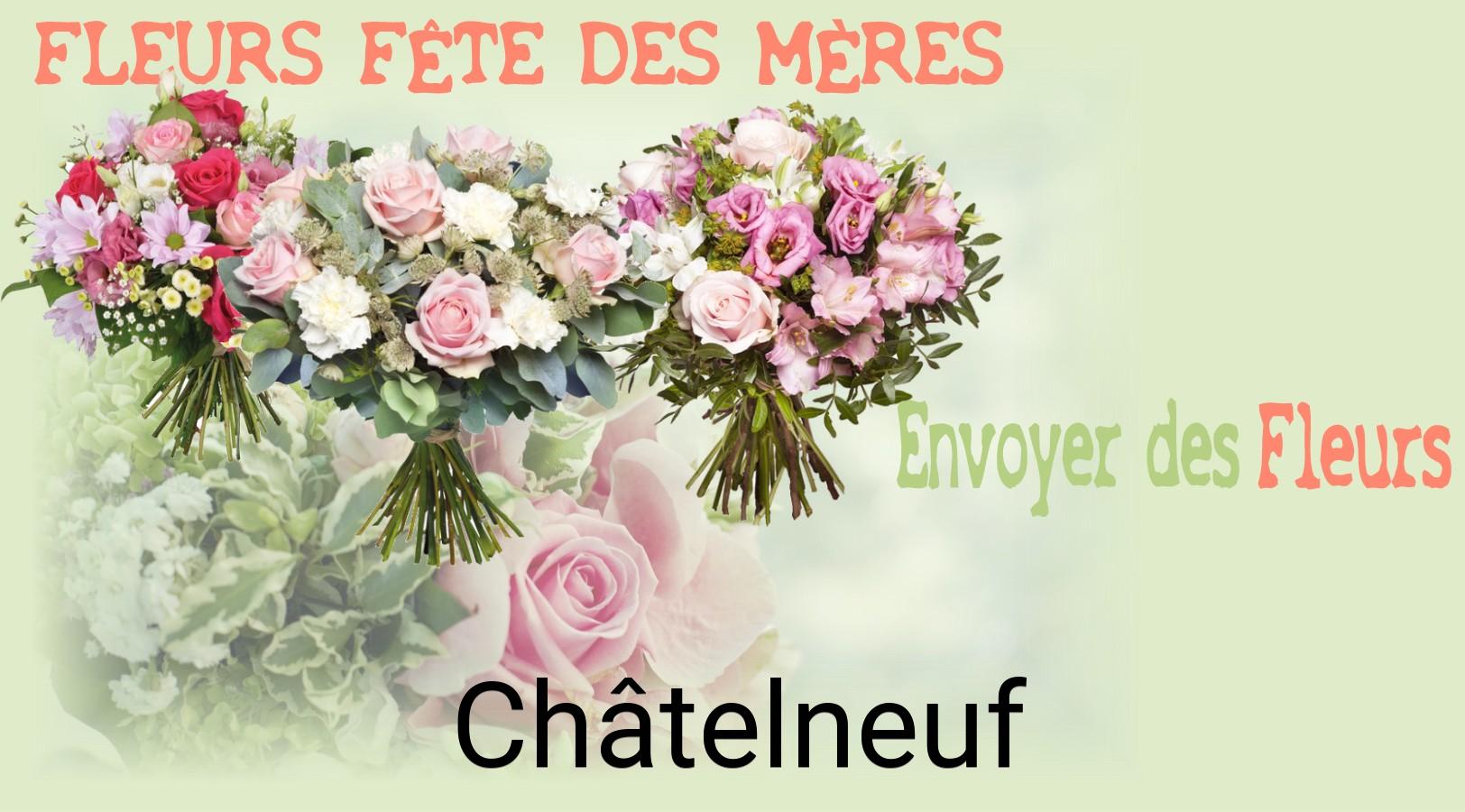 Bouquet de Fête des Mères livré à Châtelneuf